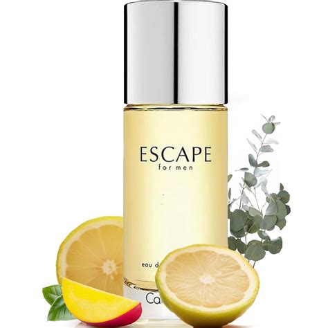 escape cologne for men amazon.